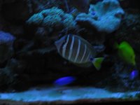 IMG_0013_3.jpg