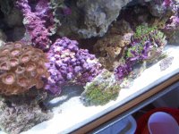 100_1124.jpg