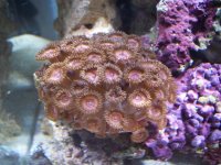 100_1129.jpg