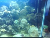 90 gal 1.jpg
