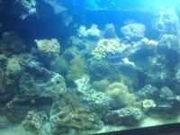 90 gal 2.jpg