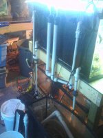 90 gal 3.jpg