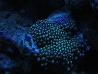 test pics 005.jpg