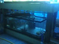 Sump.jpg