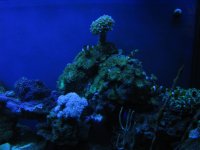 test pics 002.jpg