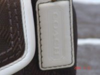 COACH BAG 2.jpg