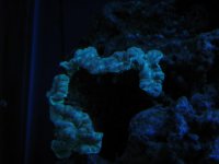 test pics 006.jpg