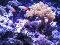 IMG_3215.jpg