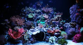 fts.jpg