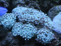 test pics 010.jpg