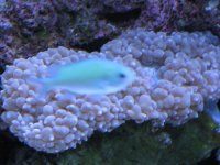 test pics 008.jpg