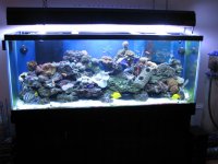 test pics 001.jpg