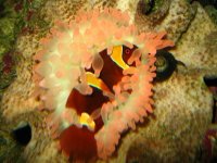 IMG_2451.jpg