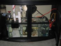 new sump 015.jpg