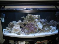 new sump 017.jpg