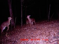 MDGC0574.jpg