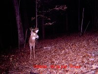 MDGC0049.jpg