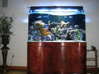 FISH TANK UPSTAIRS 006.jpg