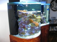 FISH TANK UPSTAIRS 008.jpg