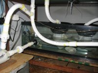 IMG_2652.JPG
