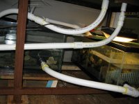 IMG_2653.JPG