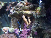 100_1152.jpg