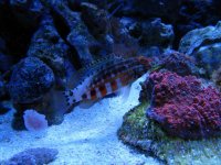 christmas 08' 292.jpg