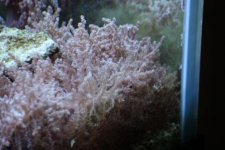 IMG_0697.JPG