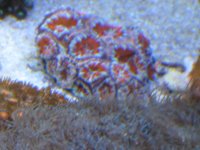 FS012509 008.jpg