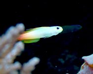 DSCF0577.JPG