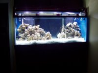 fish tank and wet room 001.jpg