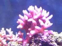 100_3362.jpg