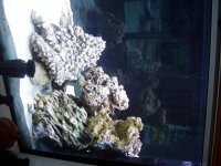 fish tank and wet room 003.jpg