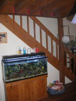 STAIRCASE FROM KITCHEN.jpg