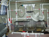 fish tank and wet room 006.jpg