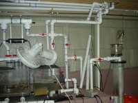 fish tank and wet room 007.jpg