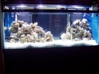 fish tank and wet room 005.jpg