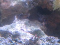aquapics 002.jpg