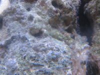 aquapics 001.jpg