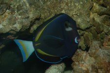 DSC_1218.jpg