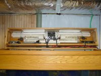 oak tank 008.jpg