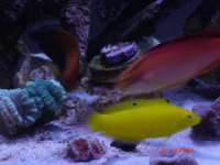 75 update June 21 017.JPG
