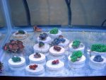DSC05021_.jpg