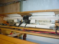 oak tank 009.jpg
