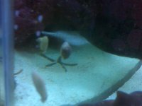 IMG00199.jpg