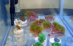DSC05025_.jpg