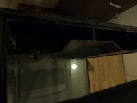 P1010633.jpg