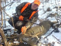 deer 2.jpg