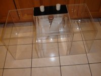 New Tank Photos! 009.JPG