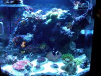 fts99.jpg